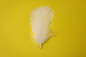 Fluffy white feather on yellow background, top view