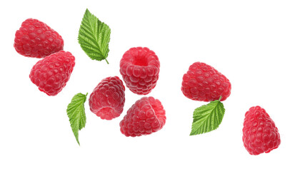 Fresh ripe raspberries and green leaves falling on white background