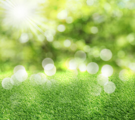 Obraz premium Vibrant green grass outdoors on sunny day