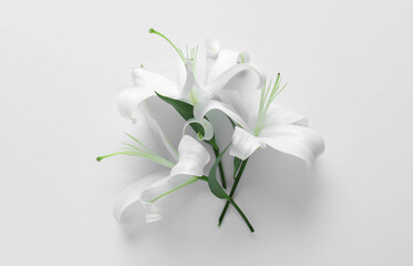 Obraz premium Beautiful lily flowers on white background