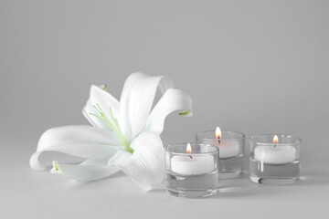 Beautiful lily flower with burning candles on grey background