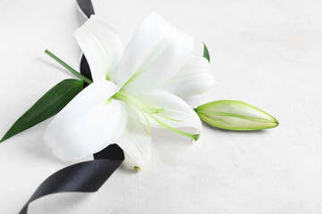 Beautiful lily flowers with funeral ribbon on white background