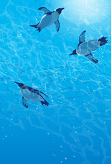 水中を泳ぐペンギンのイラスト