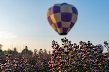 Fototapeta premium hot air balloon in region country
