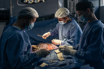 Medical team during an operation in the operating room