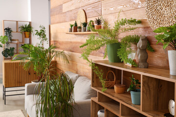 Interior of living room with green plants, shelf unit and sofa