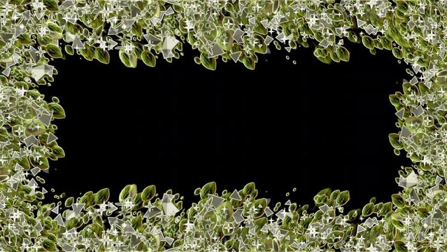 Rose leaves Display Frame. leaves growth background. Colourful falling tropical exotic foliage. creative layout, green leaves with white square frame, flat lay, for advertising card or invitation. 4K.