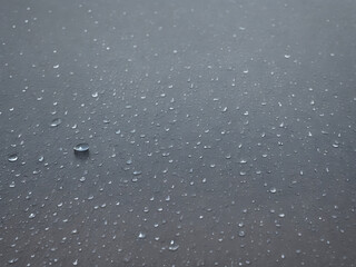 Rain drops on transparent background. Falling water drops. Nature rainfall. 