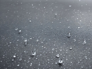 Rain drops on transparent background. Falling water drops. Nature rainfall. 