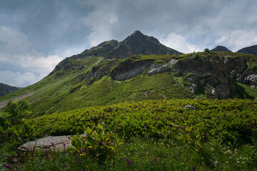 View of the valley of Malaya Dukka River on the slopes of the Arkasar ridge in the North Caucasus from the tourist trail to the Dukka Lakes on a sunny summer day, Arkhyz, Karachay-Cherkessia, Russia © Ula Ulachka