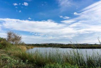 View over a blue pond in the San Joaquin Wildlife Sanctuary in Irvine, California