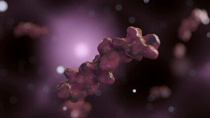 This 3D animation illustrates glucagon, a peptide hormone secreted by the alpha cells of the pancreas.