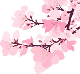 Cherry Blossom Illustrations Promoting Spring