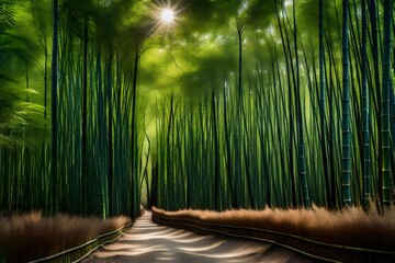 bamboo forest in the morning