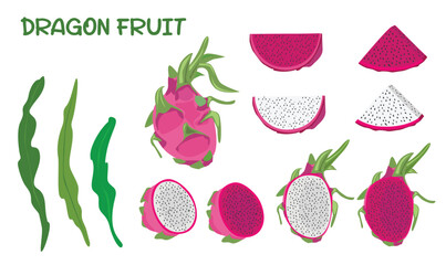 Dragon fruit vector set. White and red dragon fruit clip art. Whole, half and slices of dragon fruit. Flat vector in cartoon style isolated on white background. 