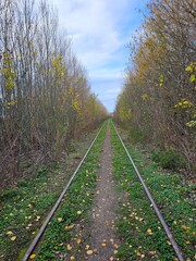 vías del tren