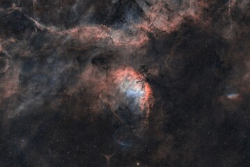 Tulip Nebula 4