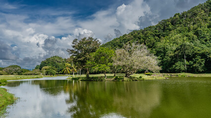 A tropical landscape. Trees grow on the shore of a calm lake. There is green grass on the lawns. A hill against a  blue sky and clouds. Reflection in the water Malaysia. Borneo. Kota Kinabalu