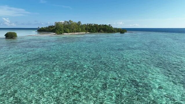 The palm-covered, idyllic island of Midorang is encircled by a reef flat the drops precipitously into Indonesia's deep ocean. The reef here is home to a spectacular variety of fishes and corals.