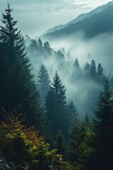 The land of pine trees, Rain forest, Mist, Autumn fog. Generative AI.
