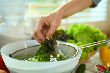 Senior man sorting fresh green lettuce, preparing healthy vegetarian meal in kitchen.
