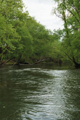 The Tuckasegee river flowing near Bryson city North Carolina