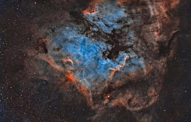 North American Nebula 1