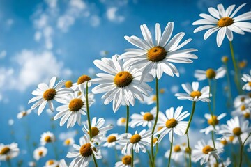 Dainty daisies swaying in a gentle breeze, with a backdrop of a clear summer sky.