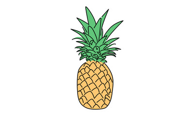 Line art color of Pineapple vector illustration