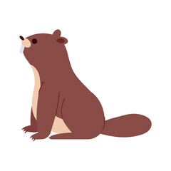 groundhog rodent animal