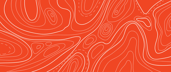 Topographic map pattern background vector. Abstract mountain terrain map background with abstract shape line texture. Design illustration for wall art, fabric, packaging, web, banner, wallpaper.