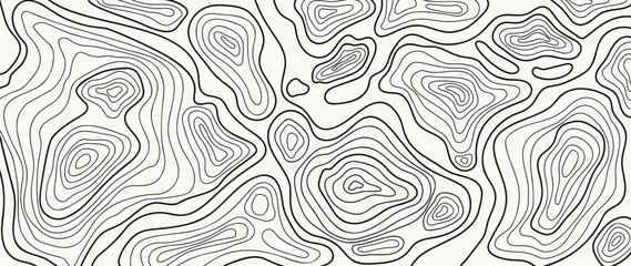 Topographic map pattern background vector. Abstract mountain terrain map background with abstract shape line texture. Design illustration for wall art, fabric, packaging, web, banner, wallpaper.