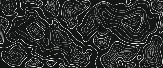 Topographic map pattern background vector. Abstract mountain terrain map background with abstract shape line texture. Design illustration for wall art, fabric, packaging, web, banner, wallpaper.
