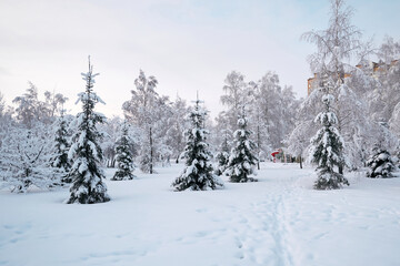 Winter landscape with snow covered trees in the city park