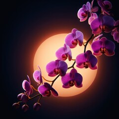 Title: Close-up of elegant orchid twig. Orchid branch, 兰花, Orquídea, زهرة الأوركيد, Orchidee, Orquidea, Орхидея, Orchidée, 蘭, आर्किड, Elegante rama de orquídeas. isolated contrast background