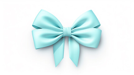 gift ribbon bow on white background