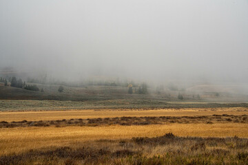 Grand Teton National Park at Wyoming, Mountain side on a foggy day