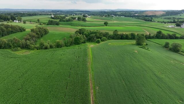 Wide aerial view of green corn and hay fields in Lancaster County Pennsylvania. Farmland preservation theme with open spaces for agriculture and farming.