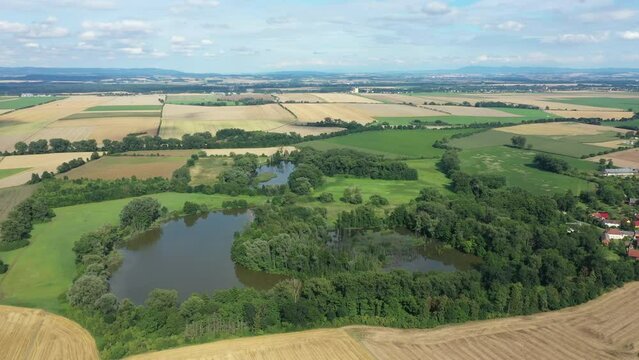 Wetland lowland fens meadow, drone aerial swamp Hrdiboricke ponds, endangered habitat and a natural monument, reed common broadleaf cattail common, cattail bulrush drought dry dries Europe