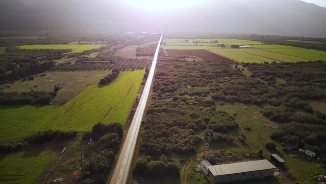 High drone footage of a road passing through green cultivated fields at sunset in Tithorea, Greece