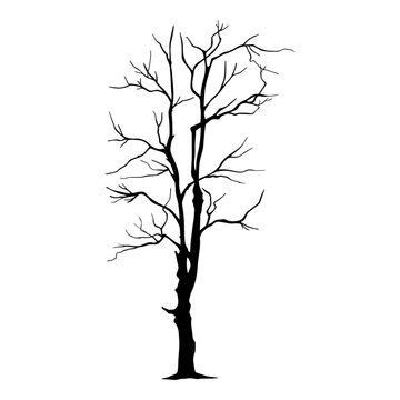 silhouette of a tree , tree vector illustration