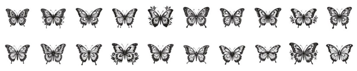 Obraz premium Set of black and white butterflies. vector illustration isolated background
