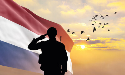 Silhouette of a soldier with the Netherlands flag stands against the background of a sunset or...