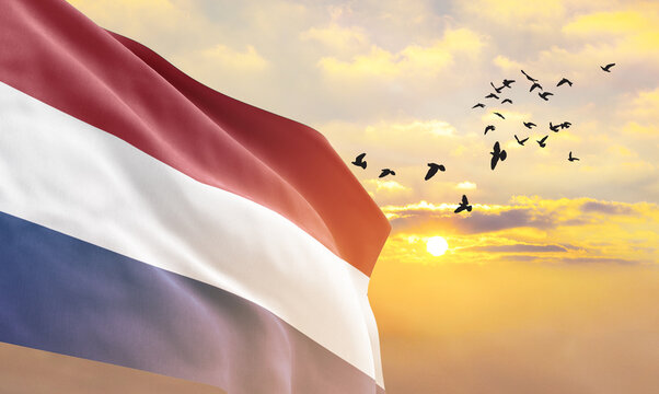 Waving flag of Netherlands against the background of a sunset or sunrise. Netherlands flag for Independence Day. The symbol of the state on wavy fabric.