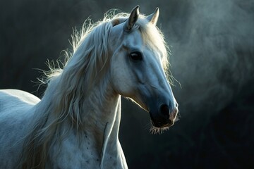 A white horse with a long mane and a black nose
