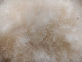 fur texture