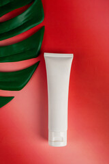 Cosmetic product in tube, bottle, lotion or serum on red background and tropical monstera leaves. 