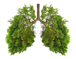  forest in a shape of lungs - isolated on transparent background