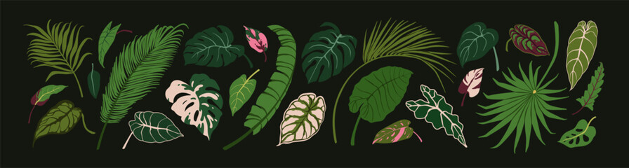 Green leaf set. Exotic tropical foliage plants, leaves, decorations. Botanical natural decor, greenery. Botanical design elements, alocasia, philodendron, monstera. Isolated flat vector illustrations © Good Studio