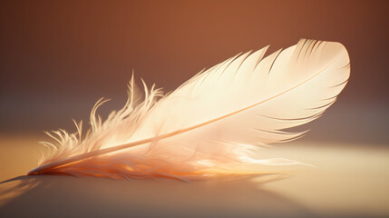 Feather on a soft background.
